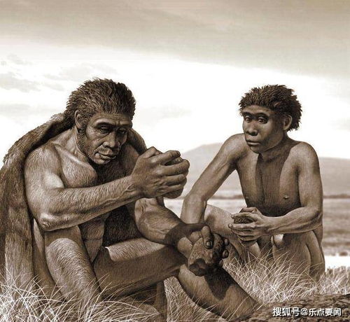 人类进化史有400万年空白,科学家们一头雾水 化石呢