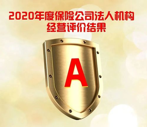衡水新闻网