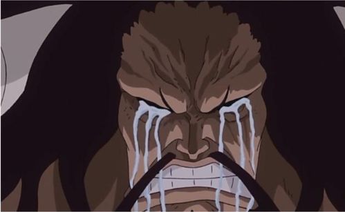 尾田将如何安排凯多的结局 死亡还是被捕？