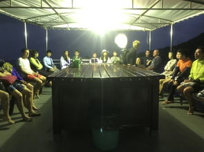 涛岛潜水猿工厂与尾猿会 探索潜水世界的独特社群